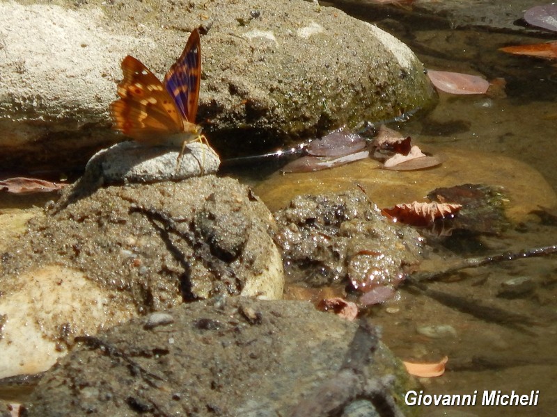 Parco del Ticino :incontri del 18/7/15